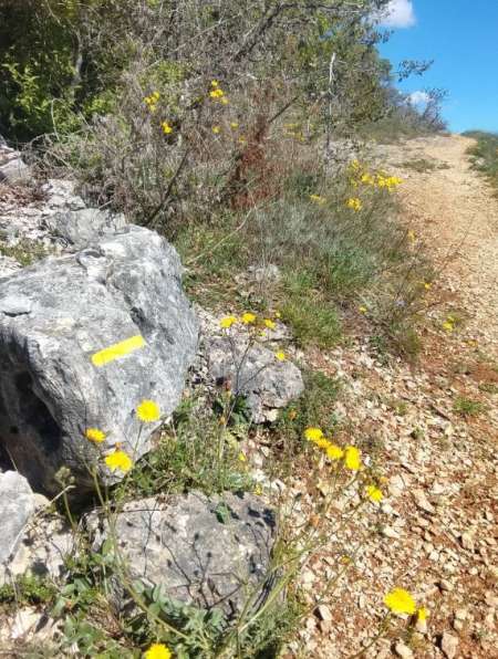 rencontre discr�te avec femme mature