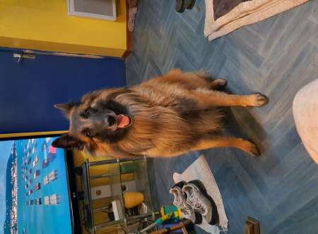 Homme dominant disponible pour r�el