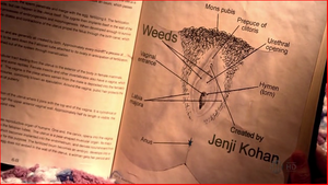 Détente et moment opportun de Cunnilingus pour F