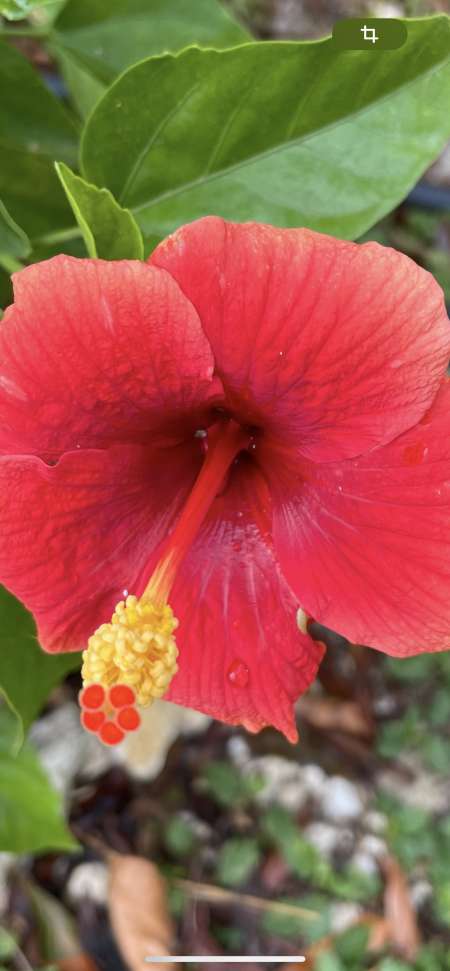 Recherche une partenaire sp�cialis� 😉